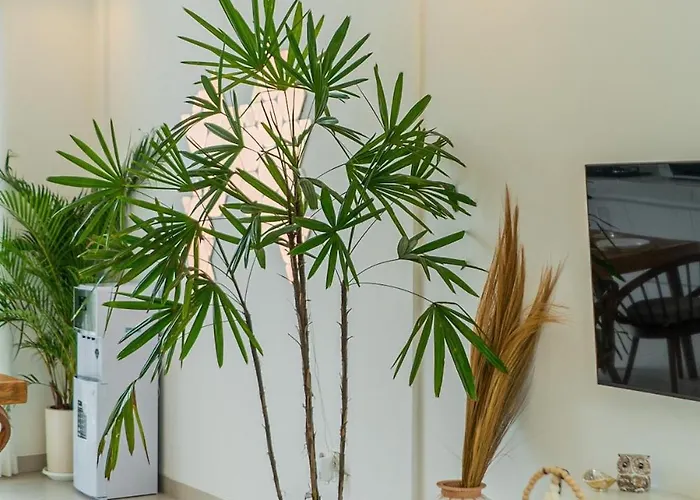 Holiday home Canggu 2br Greenwall Pool By Bali Bliss